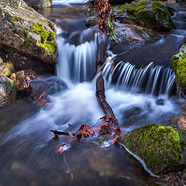 Le Saut