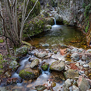 Le Saut