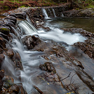 La Ganiere